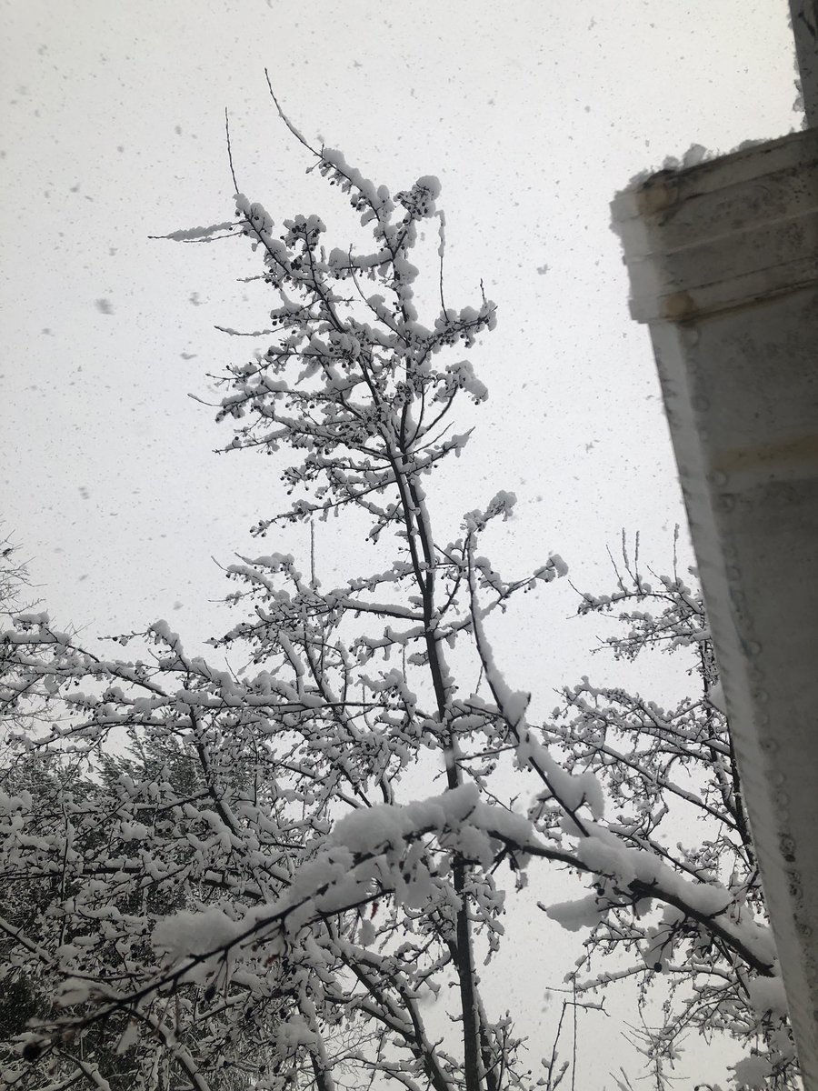 bolduc_jon's tweet image. 