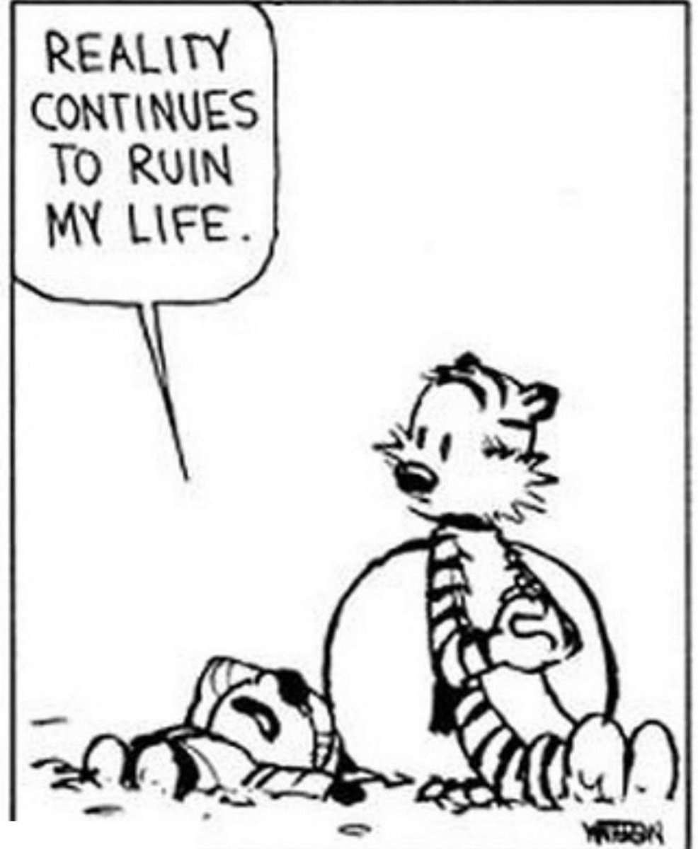 Calvin and Hobbes Fan Account tweet media