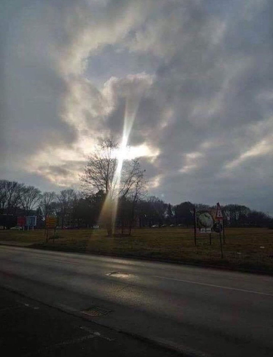 JjRedWave tweet media