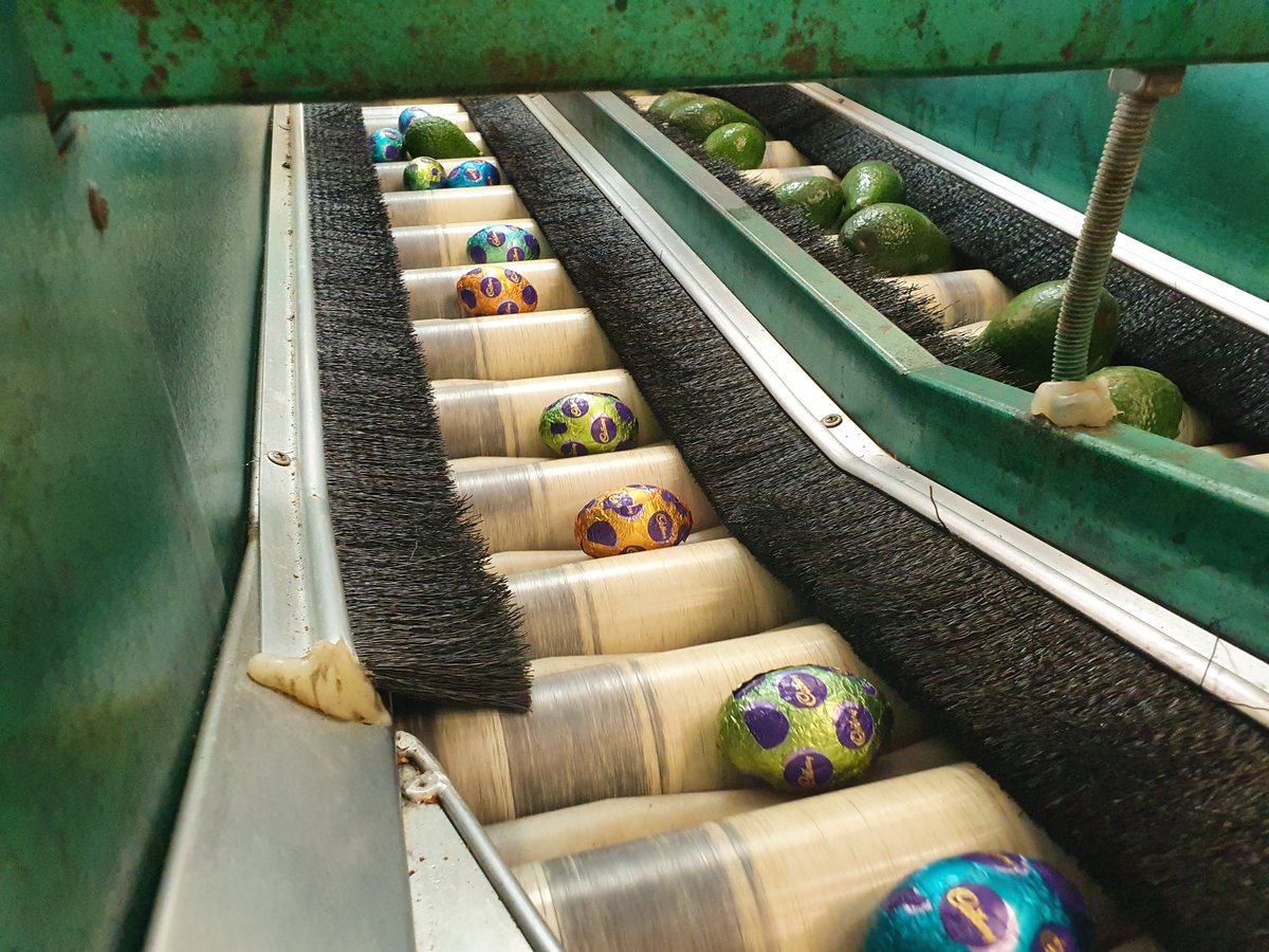 Blue Sky Produce tweet media