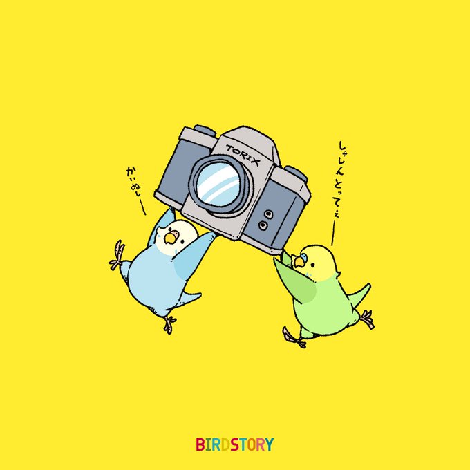 「ビデオカメラ」のTwitter画像/イラスト(人気順｜RT&Fav:50)