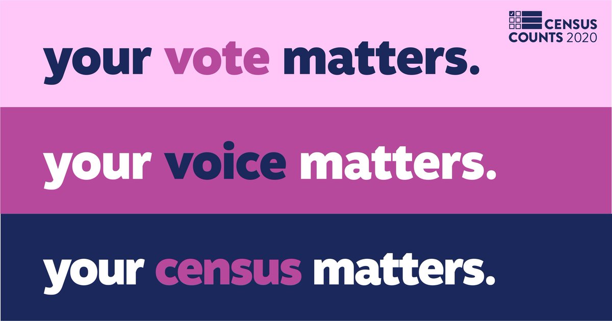 LWV's tweet photo. In these times of uncertainty and physical distancing, standing together with our communities is more important than ever. And it is so easy to take the census right from your own home. https://t.co/SlWaQlOGgJ https://t.co/bBcmHWXnyQ