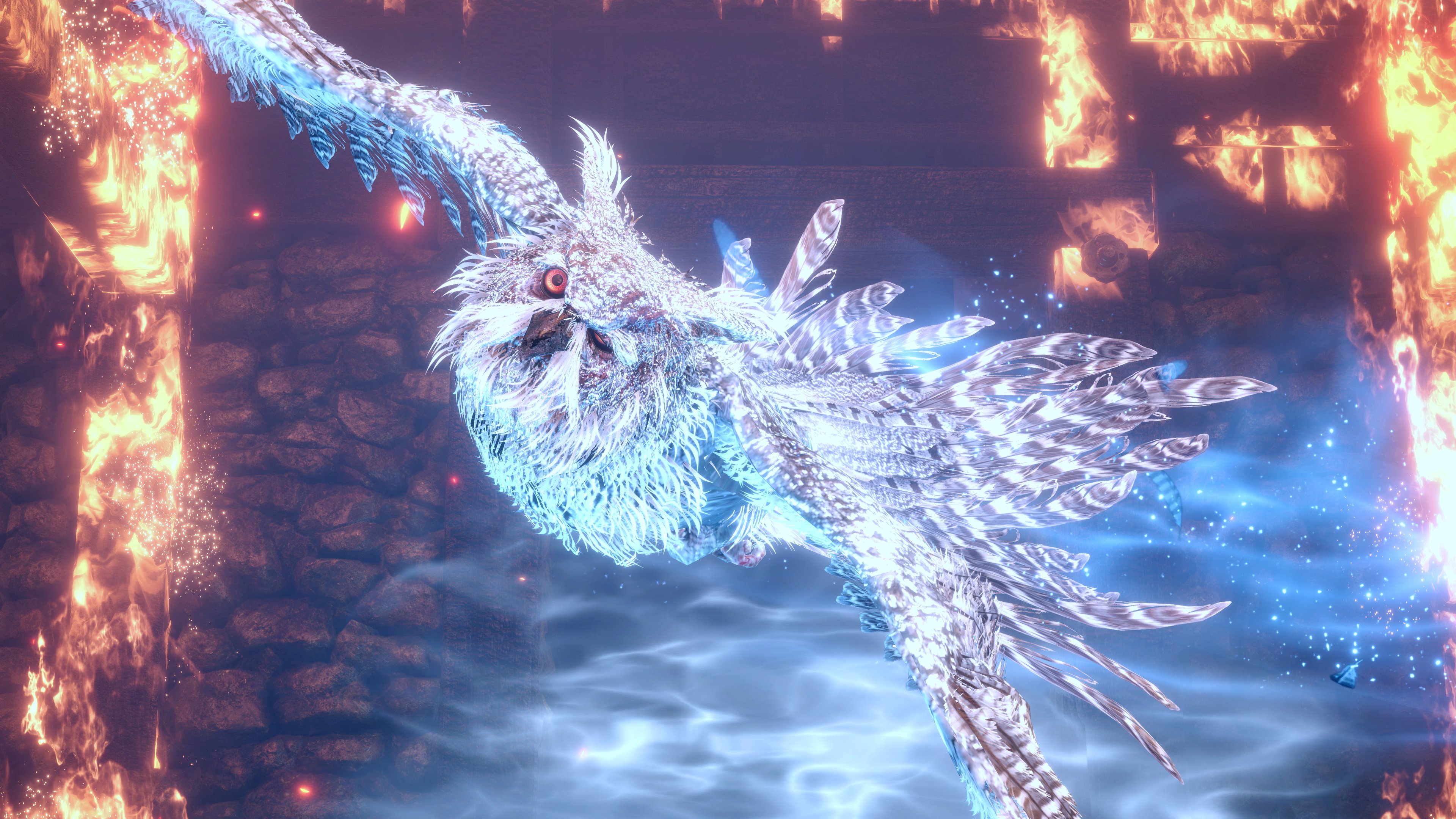 Philosobee Philosobeehive Twitter