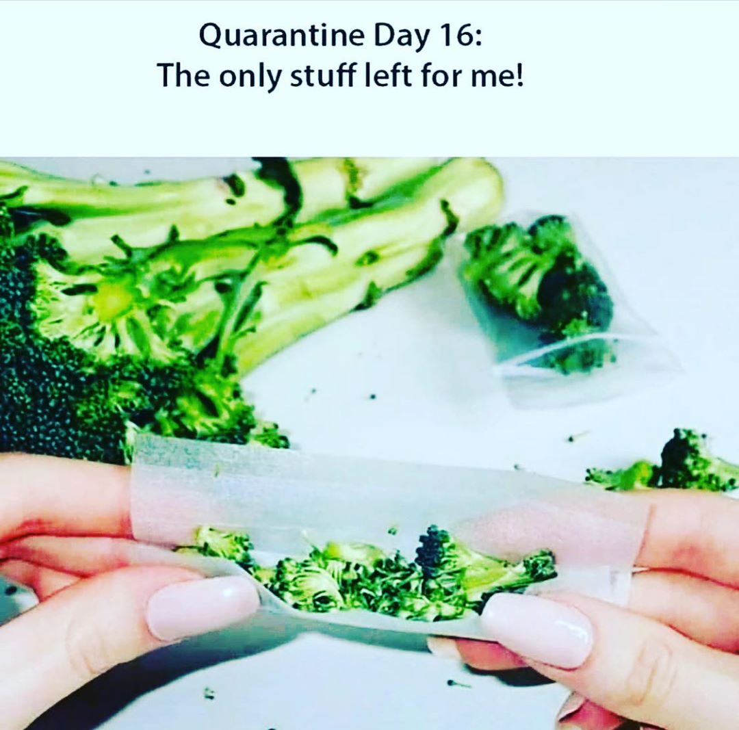 SensibleSeeds's tweet image. Hard times 😂 #donttrythisathome #weedproblems #weedlife