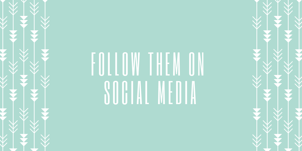 Follow them on social media (Twitter, Instagram, TikTok, Youtube, etc.)