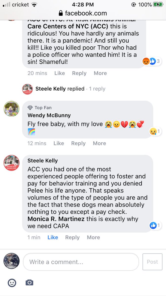nomoreafterme's tweet photo. @TomJumboGrumbo @KeithOlbermann I’m so sorry for the loss of Pelee. Please read Kelly Steele’s FB comment. https://t.co/igscJRzOHy