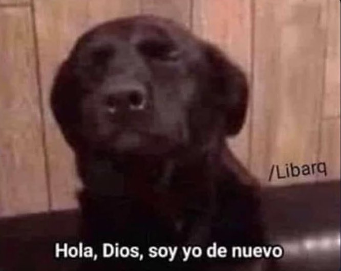 MinlovesMing's tweet photo. Mi novia 24/7 JAJAJAJ 
@Dodocienta te amo JWBSN https://t.co/sQ0G7lUPRf