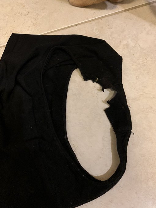 I hate when my dogs chew up my undies 🤬 https://t.co/V38UoEQnJV<a href="/tag/apclips"class="tags"><span>#apclips</span></a><a href="/tag/aplove"class="tags"><span>#aplove</span></a>
