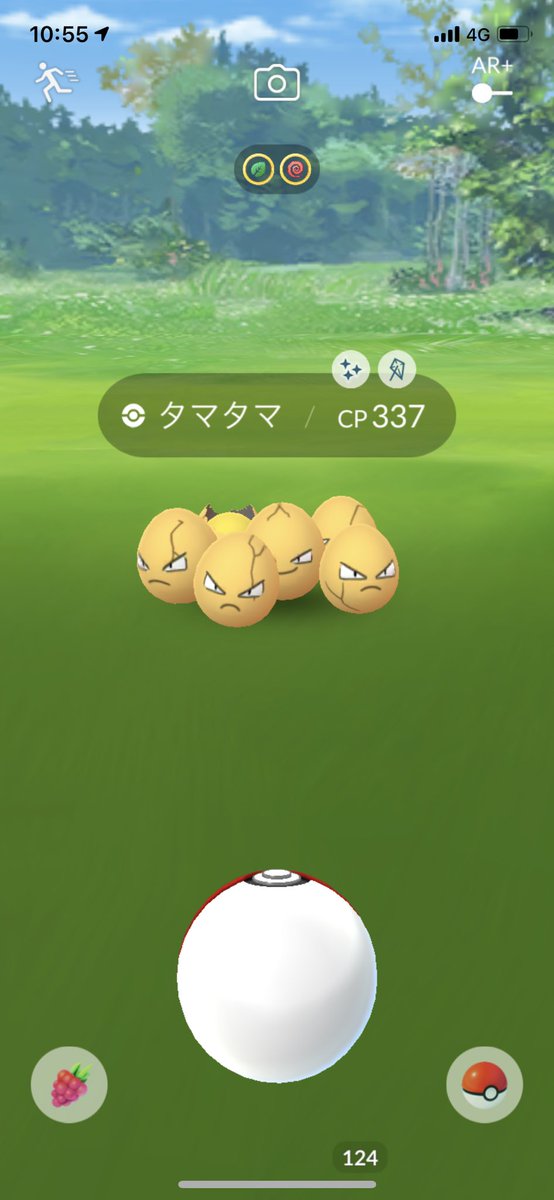 Bomax 金玉こと色違いタマタマ出たー 今回の大目玉が出てくれて一安心 もう1匹欲しい ポケモンgo 色違いタマタマ 色違いポケモン イースターイベント Bomax 金玉こと色違いタマタマ出たー 今回の大目玉が出てくれて一安心 もう1匹欲しい ポケモンgo 色違いタマタマ 色違いポケモン イースターイベント