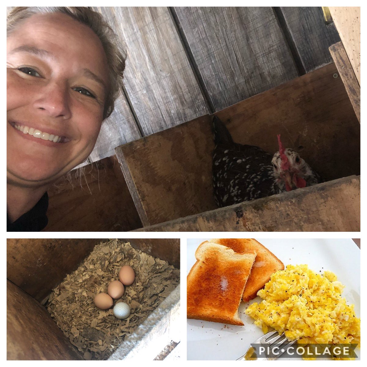 25HeatherHart's tweet photo. Easter egg hunt today with my coworkers. When I cracked open my eggs I found them scrambled! #CGEggcelence #FindJoy https://t.co/xSxPaqQJa5