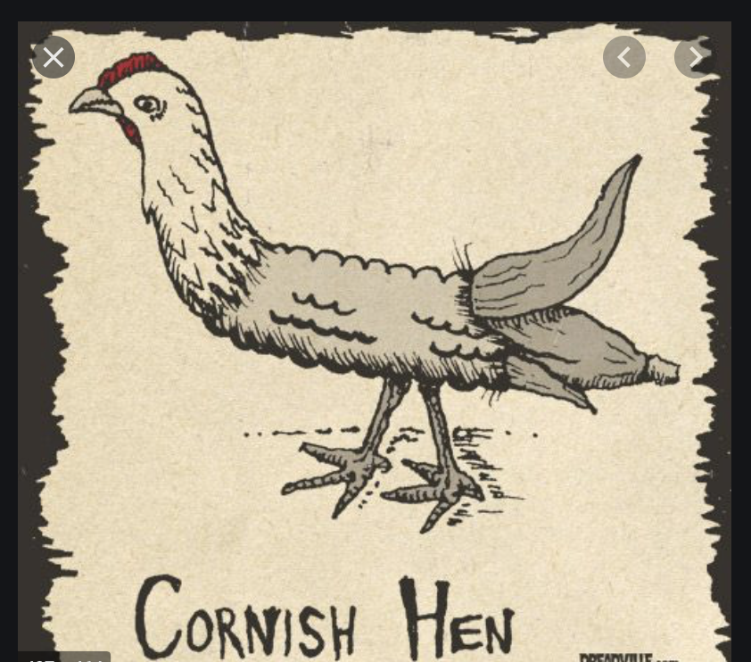 SizzleAndSwing's tweet photo. OK. Now let's discuss #CornishGameHens. #BringIt!
@iamcornishpasty @erindickins @yescornwall @mawnansmith @CanadaRobT
GO! https://t.co/RtFE3RQwCN