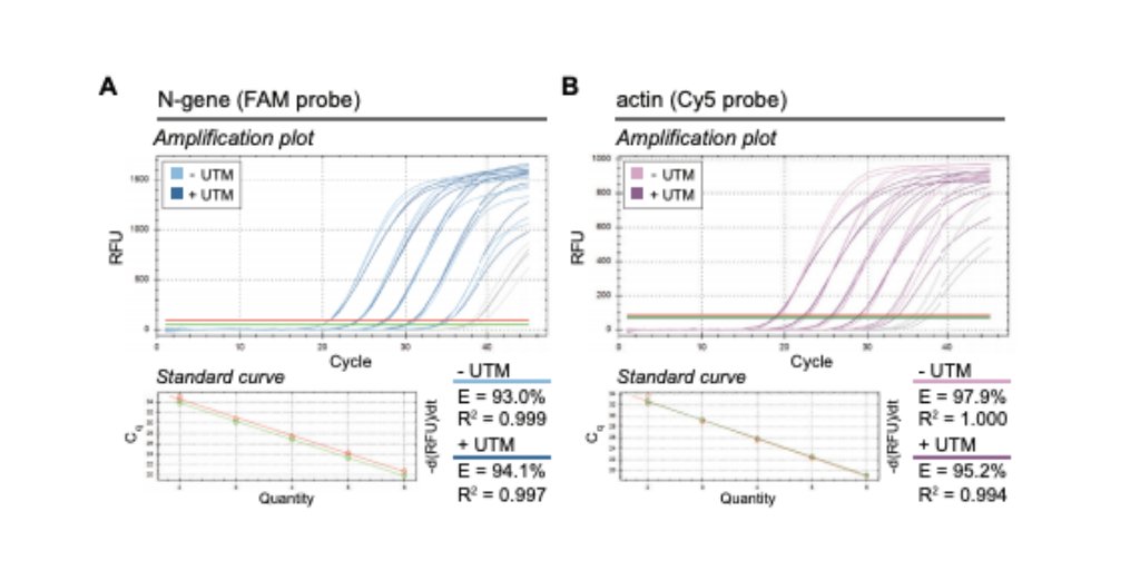 Our scientists latest research on direct detection of SARS-CoV-2 RNA using Luna reagents demonstrates compatibility with Universal Transport Medium and cell lysates. Find the details in our application note:
nebiolabs.com/2VlztA5
#COVID19 #SARSCoV2