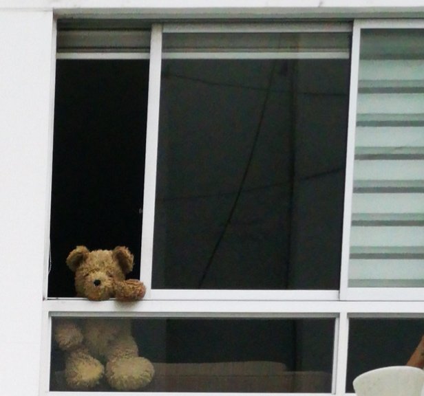 carodabdoub's tweet photo. De lo más bonito en esta cuarentena: mi vecina dejó un oso en la ventana para que lo vea mi hijo 😍. El Bebesaurio le mandaba besos volados. 🙌 #QuedateEnCasa https://t.co/ipQ2eiqfad