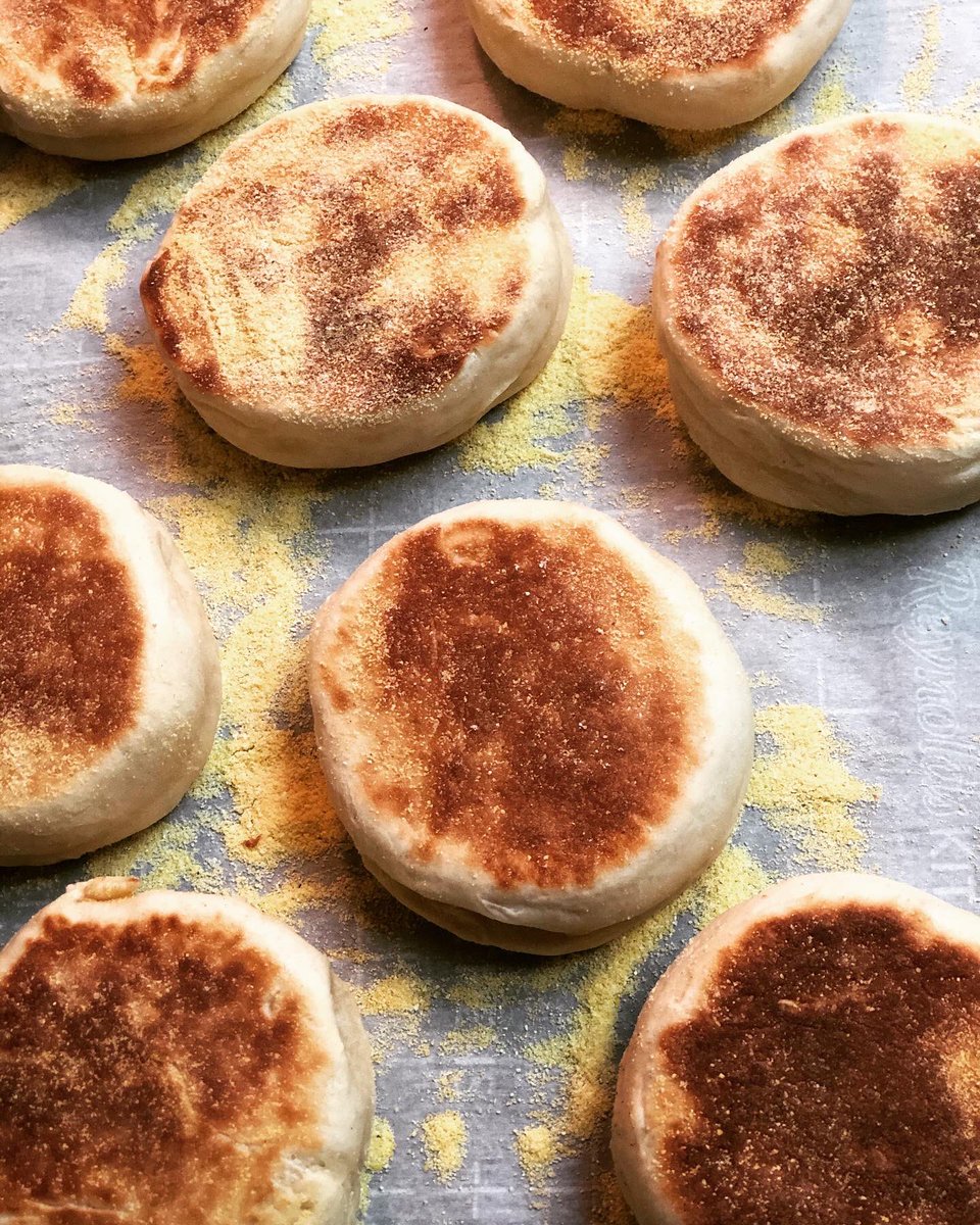 wa_coble's tweet photo. Another successful bake by my beautiful bride. Itβs been a wild week of glorious smells in the #CobleFamily home. French bread, cinnamon rolls, doughnuts & today English muffins. #homebaker #dadlife #bakingbabe https://t.co/errMsVpD0K