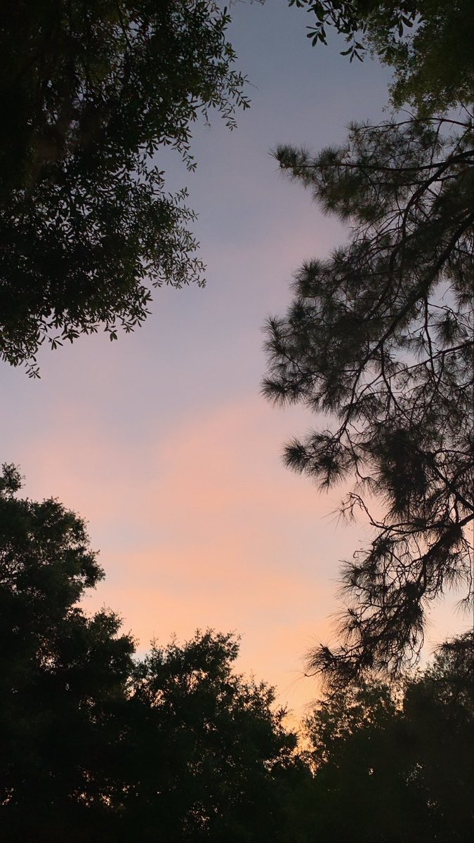 KlarisaScott's tweet photo. I take (almost) daily walks every evening and take photos of the sky because Im missing being a shutterbug! Enjoy this feed of happy clouds and sunsets and stuff https://t.co/0DxKHlDfLd