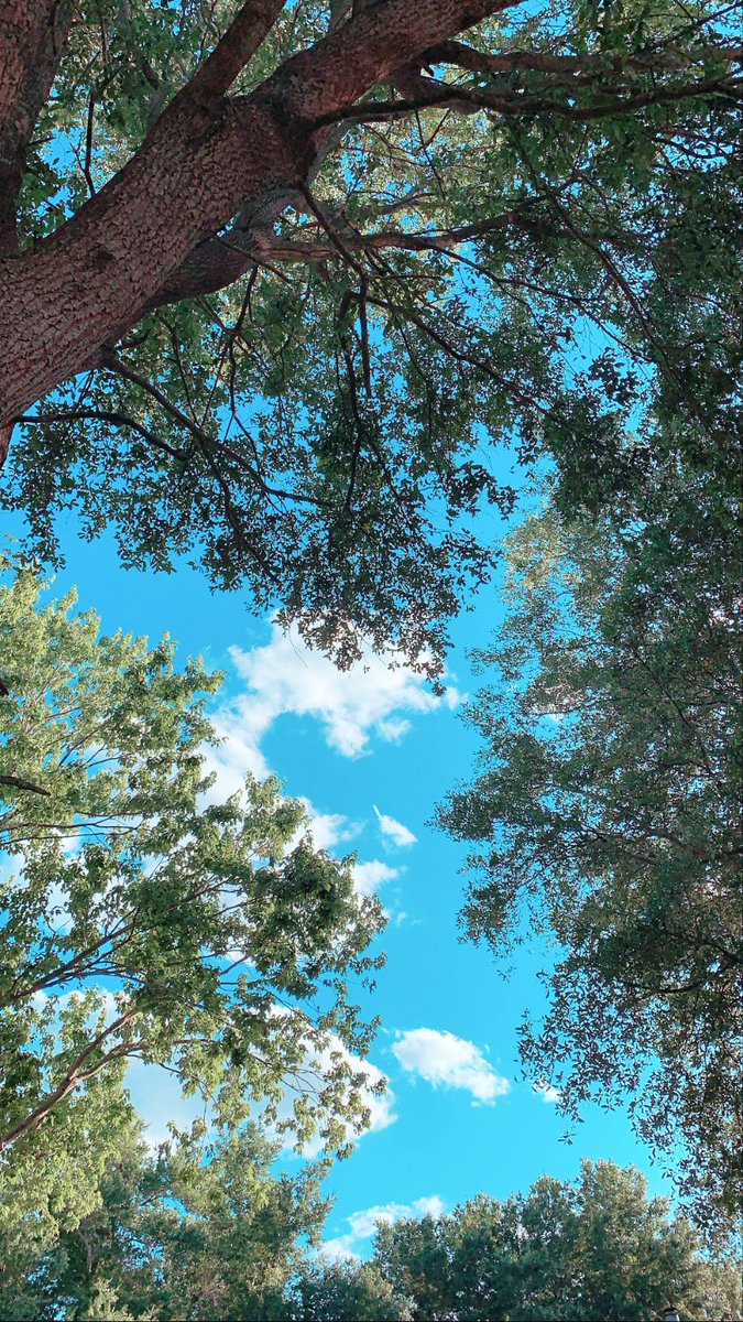 KlarisaScott's tweet photo. I take (almost) daily walks every evening and take photos of the sky because Im missing being a shutterbug! Enjoy this feed of happy clouds and sunsets and stuff https://t.co/0DxKHlDfLd
