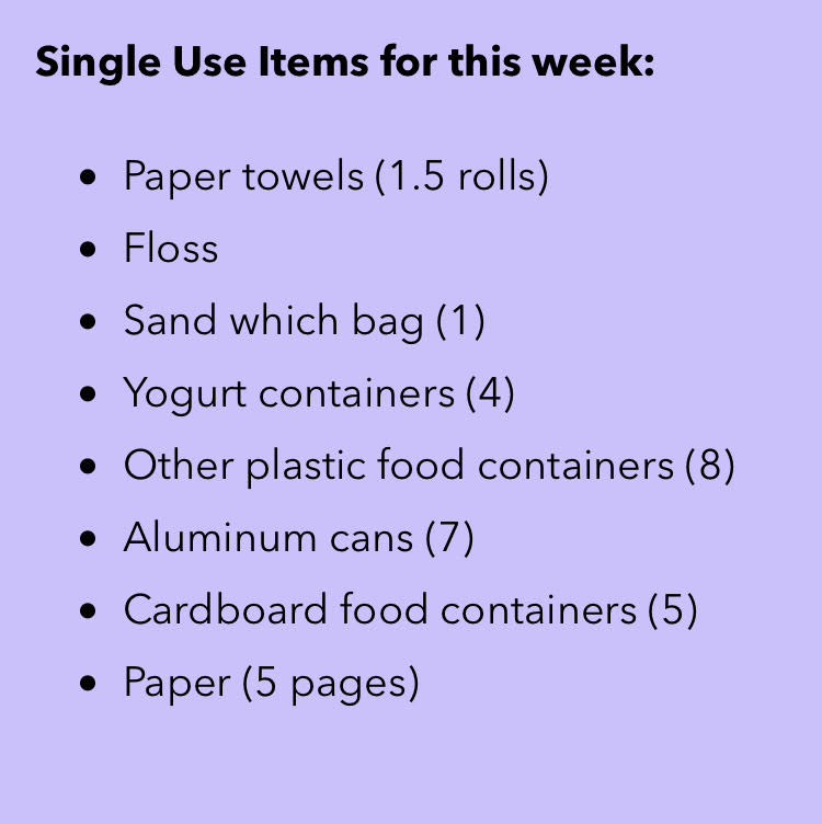 Flowertrish's tweet photo. My list of single-use items @UDsustainable. #3RsBlueHenChallenge https://t.co/UW1tqZEtjF