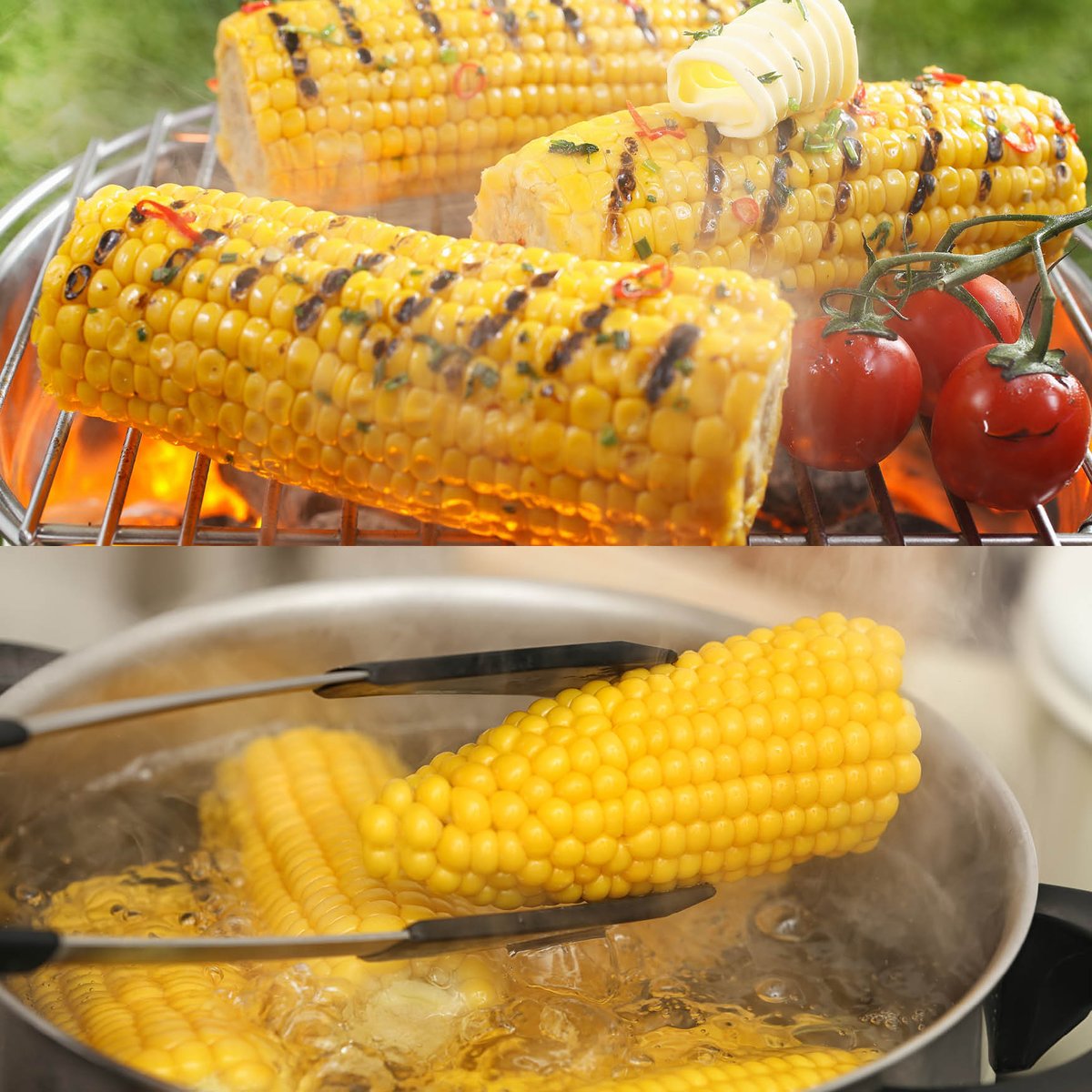 TCGrocery's tweet photo. TEAM GRILLED OR TEAM BOILED CORN ON THE COB?? 🌽😍 https://t.co/XBXbzTLVzh