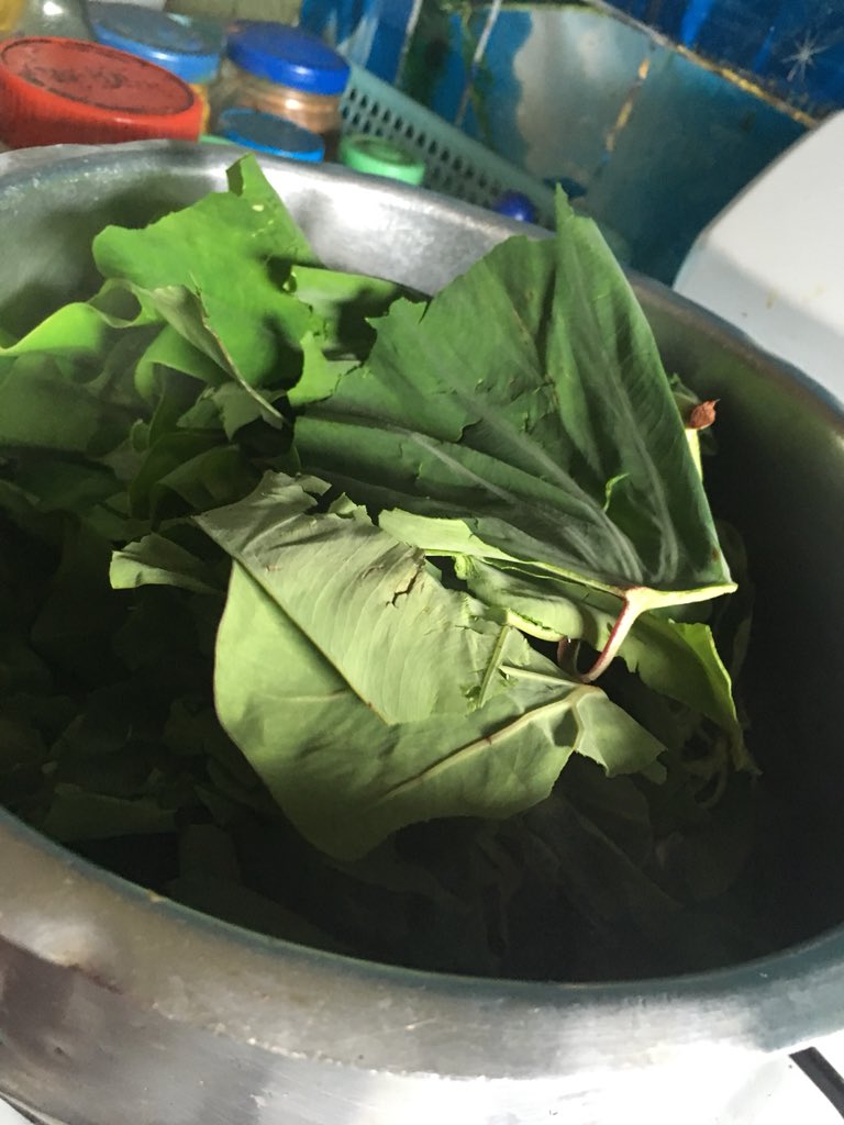 So lunch preps for today .. Vinaka  @tu_fili Na kari niu after 102 Years 1. Cut onions into small blocks and mix it with tin meat 2. Mix it mix it 3. Grated coconut to make it true 4. Cook your rourou (taro leaves) ... 