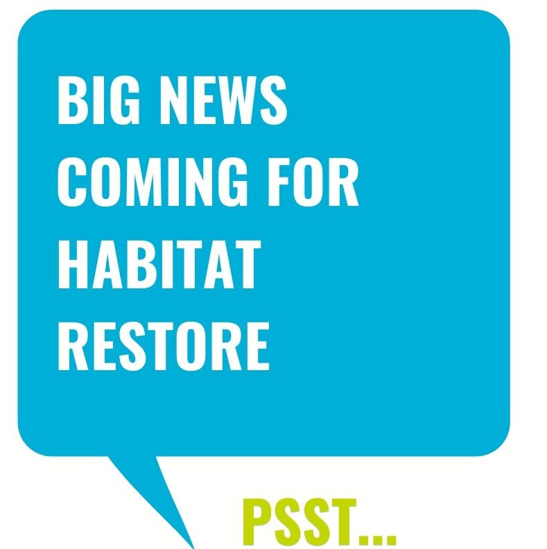 ReStoreGTA's tweet photo. We have just the thing to brighten your Social Distance Saturday! Sign up and be the first to hear our news: https://t.co/xvyLwJdGqr https://t.co/D2TRS5QqIm