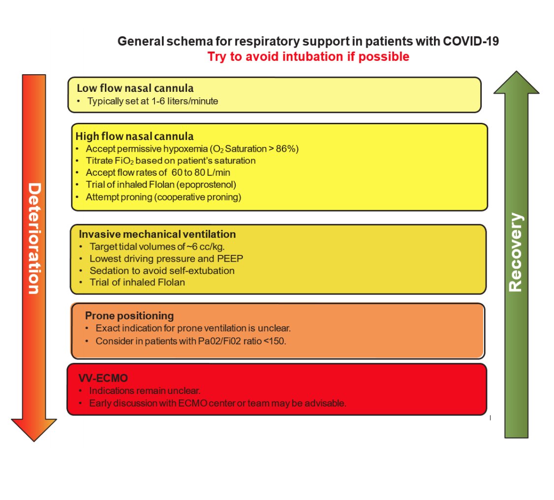 With that in mind, some potential improvements:- earlier prone positioning- ACE-2 commentary dated: COVID-19 depletes ACE-2, Giapreza likely further worsens RAAS symptoms, use other pressors- more tocilizumab in severe cases- consider minocycline instead of azithromycin (QT)