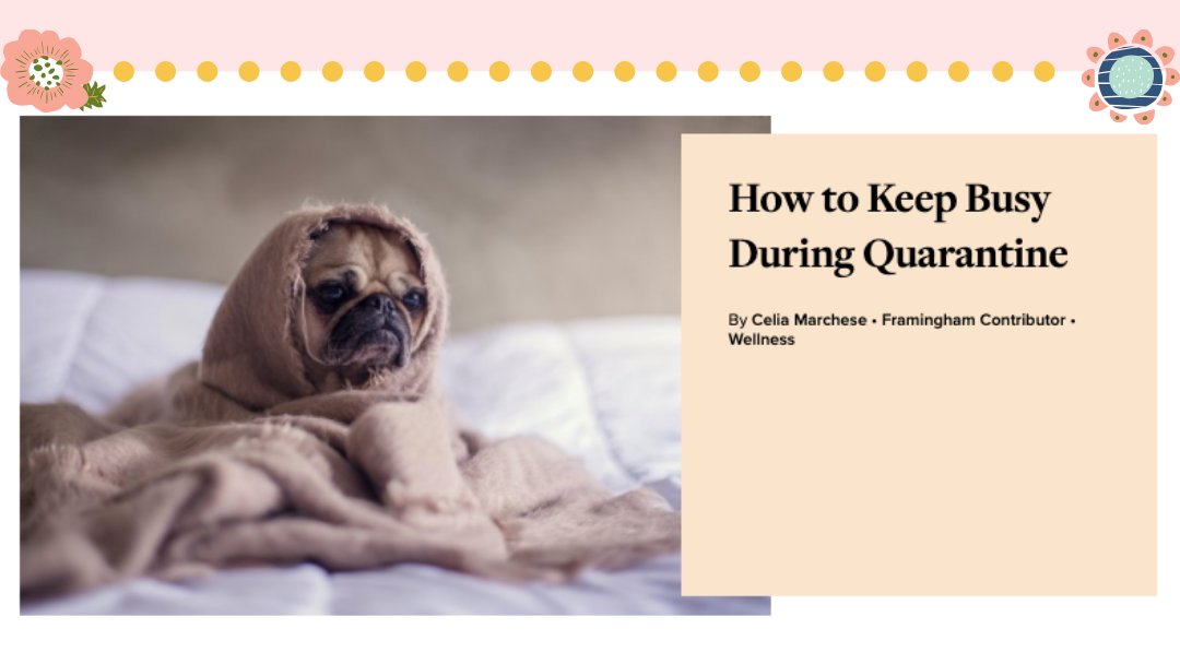 Trying to stay sane in quarantine? HC Framingham is still posting new articles! Check out our quarantine tips at the link in our bio!