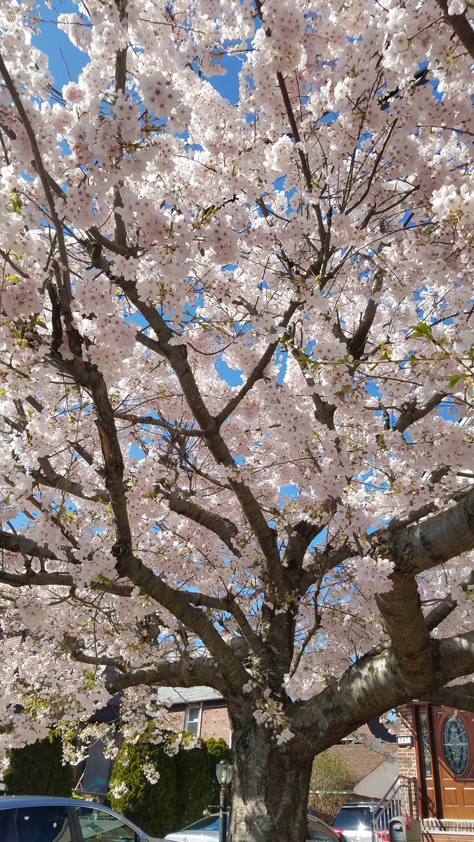 blewise's tweet image. The beauty of nature...