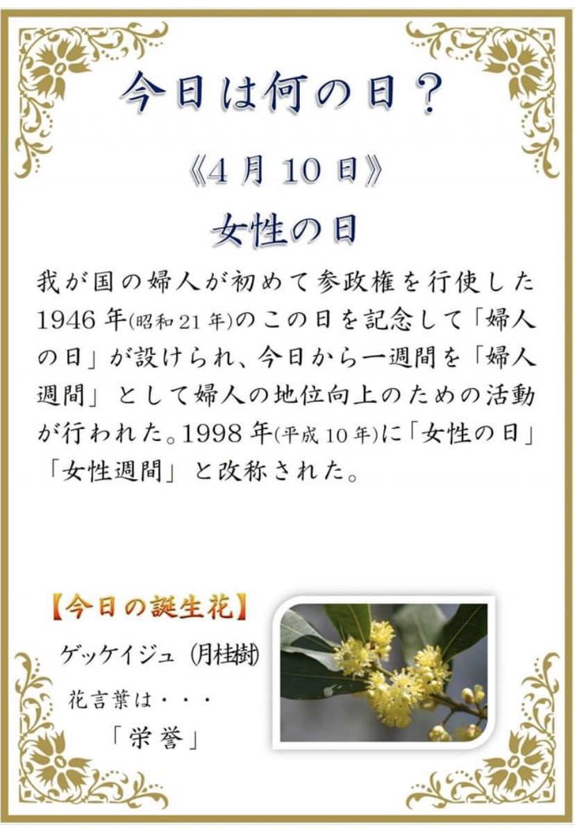 月桂樹 月桂樹