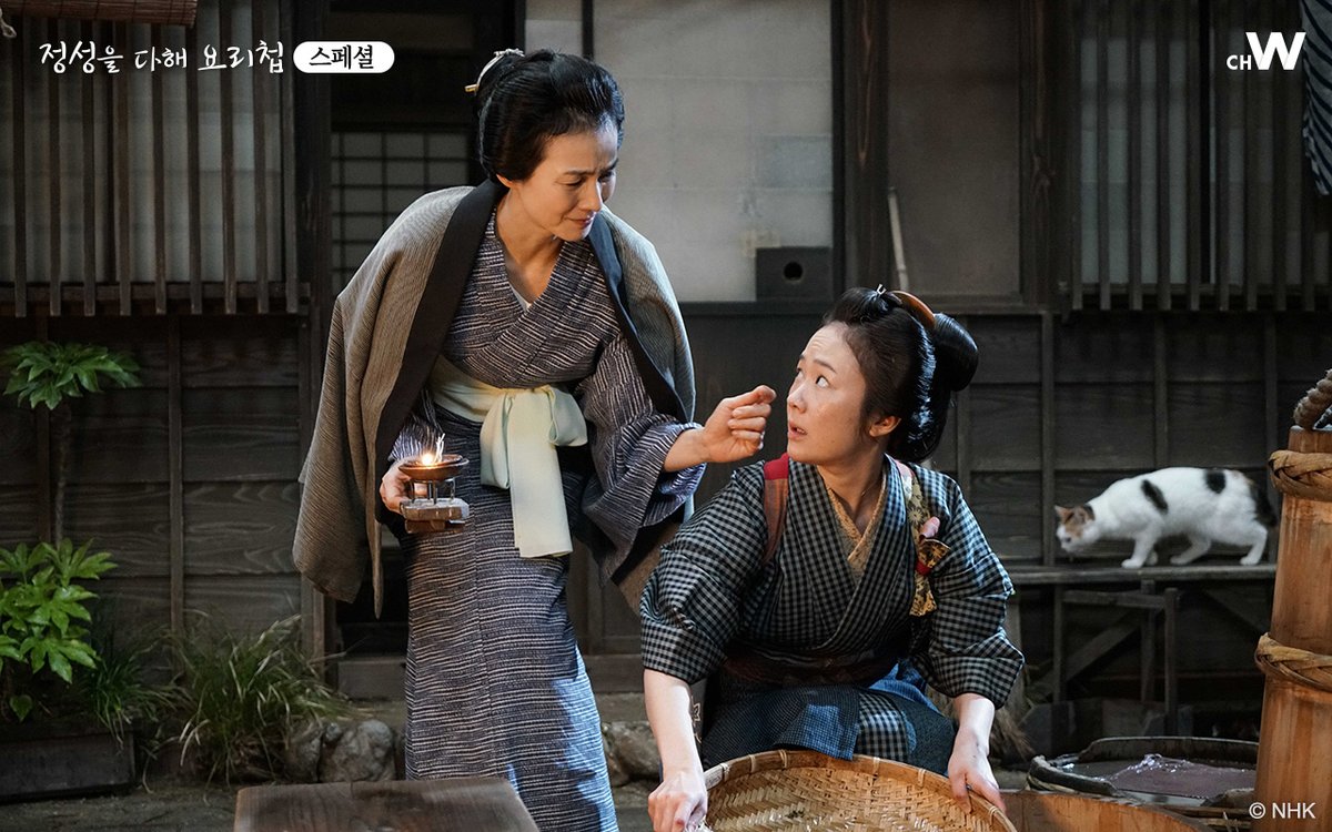 온갖 어려움을 헤치고 에도시대 일류 여자요리사로 성장해가는 미오의 일과 사랑에 대한 새로운 이야기. NHK시대극 <정성을 다해 요리첩 스페셜...