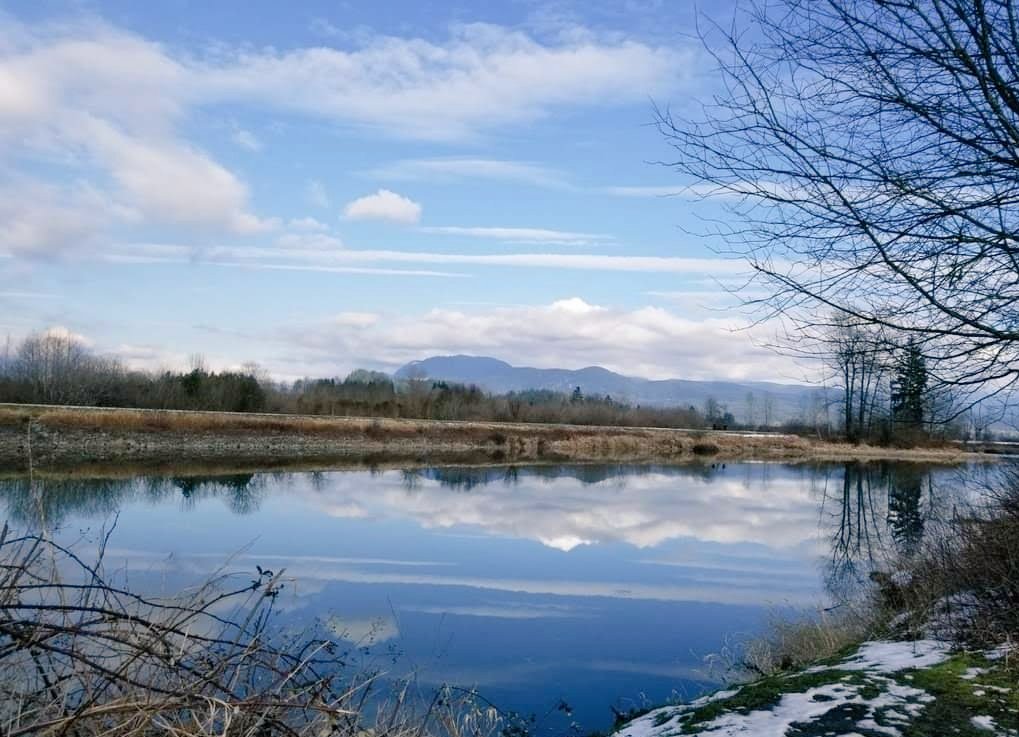 Some days the sky is just a little bluer. Pitt Meadows, B.C. Canada 🇨🇦 #naturephotography
