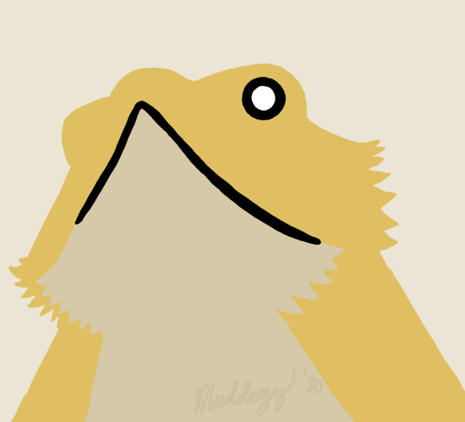 Muddogg83's tweet photo. Watching @DesertPogona stream and learning Japanese, so now I am not able to un-see the "Pe" katakana as a bearded dragon. 🦎 https://t.co/YxyZUkq3Ib
