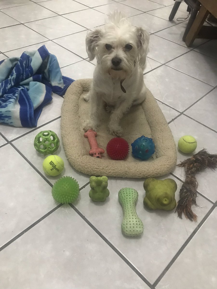 Don  Valente tweet media