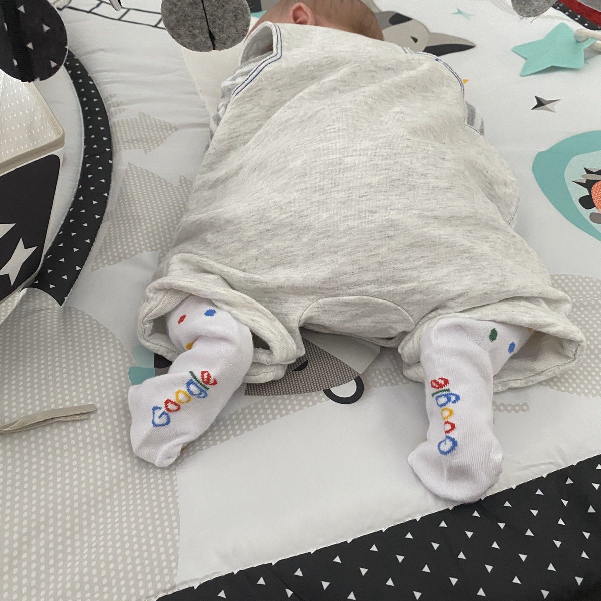 GrandCruDigital's tweet photo. The newest member of the GCD team started this week π₯³π Iβd like to welcome our Google loving intern, Albie to the team.
Itβs safe to say heβs the cutest guy in the office and while we βtrain him upβ the GCD office will be closed the rest of the month.
#iloveseo #googlegeek https://t.co/HSdkr6tgNI