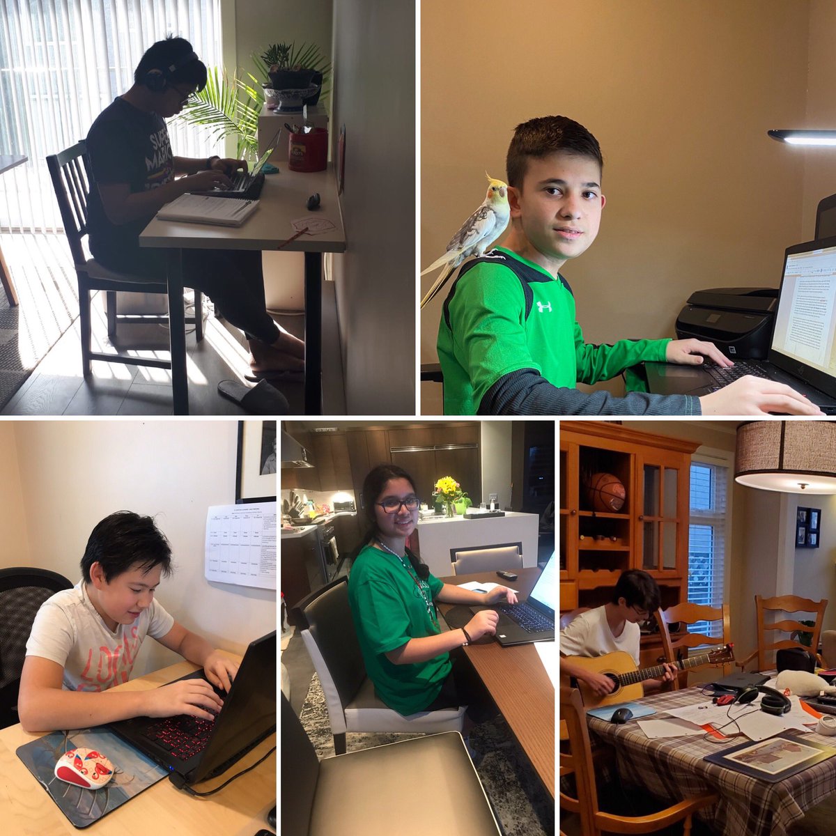 St. John Paul II Academy (@sjpiiacademy) on Twitter photo Nothing can stop a “Royal”. School life continues <a href="/SJPIIAcademy/">St. John Paul II Academy</a> <a href="/CISVA2/">Catholic Independent Schools Vancouver Archdiocese</a> Nothing can stop a “Royal”. School life continues <a href="/SJPIIAcademy/">St. John Paul II Academy</a> <a href="/CISVA2/">Catholic Independent Schools Vancouver Archdiocese</a>