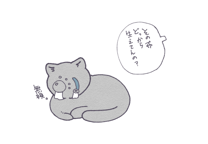にくきゅうちゃんねこもあり得ると思ったけど無理でした 