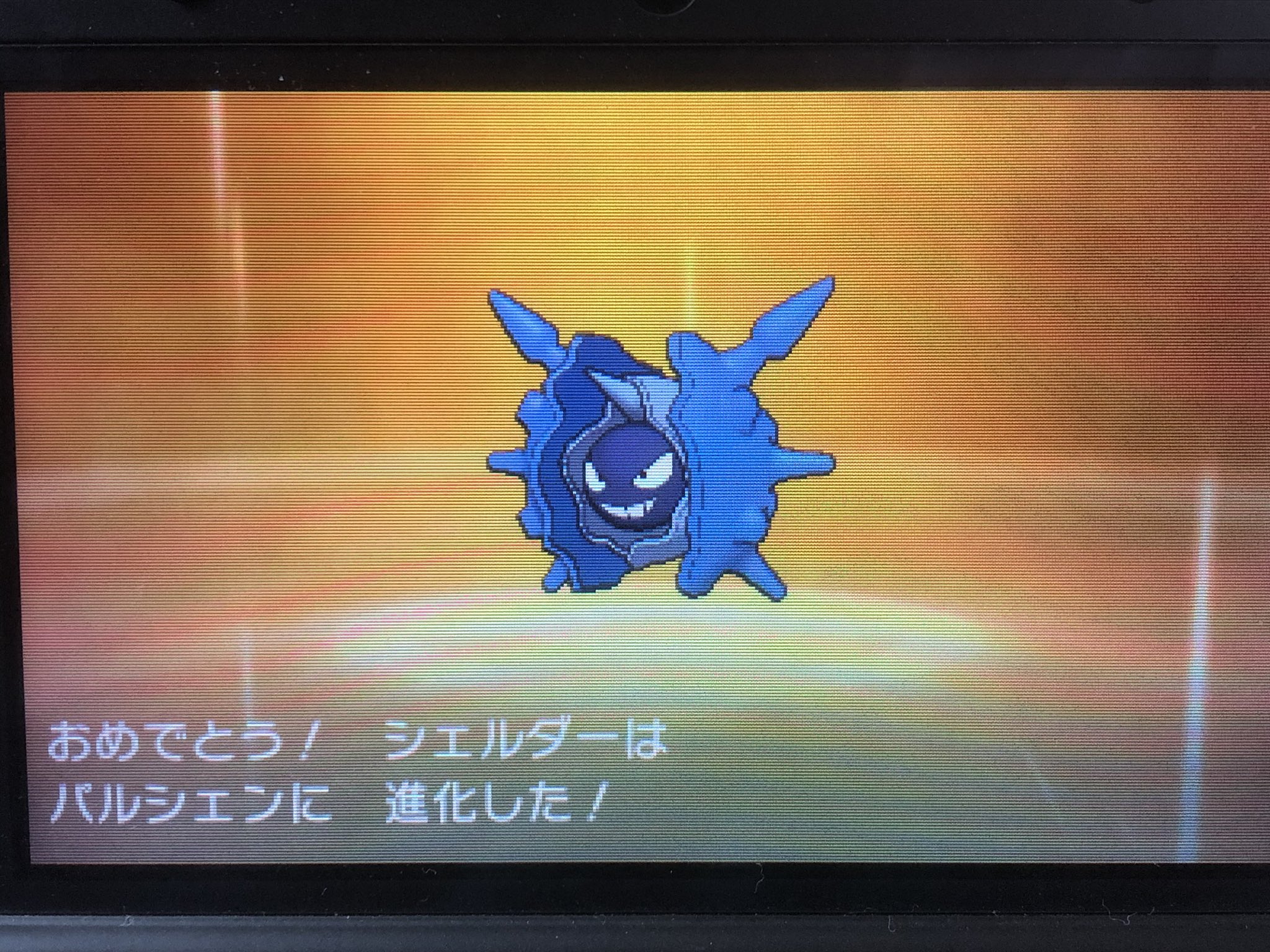 最近別のゲームにハマり中 シェルダー パルシェン サンムーン 色違い T Co Tzwxewb3bk Twitter
