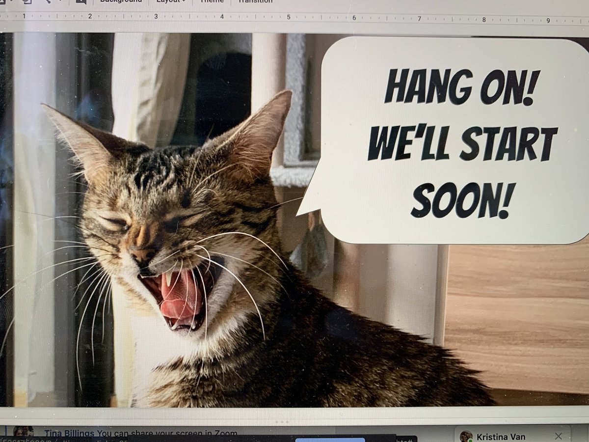 kimber_johnston's tweet photo. The new splash screen I show while waiting for my class Meets to start. Who knew my #catcoworker was also a model!? #homelearning #ssmfc #wearecue https://t.co/A8yeLqHDVA