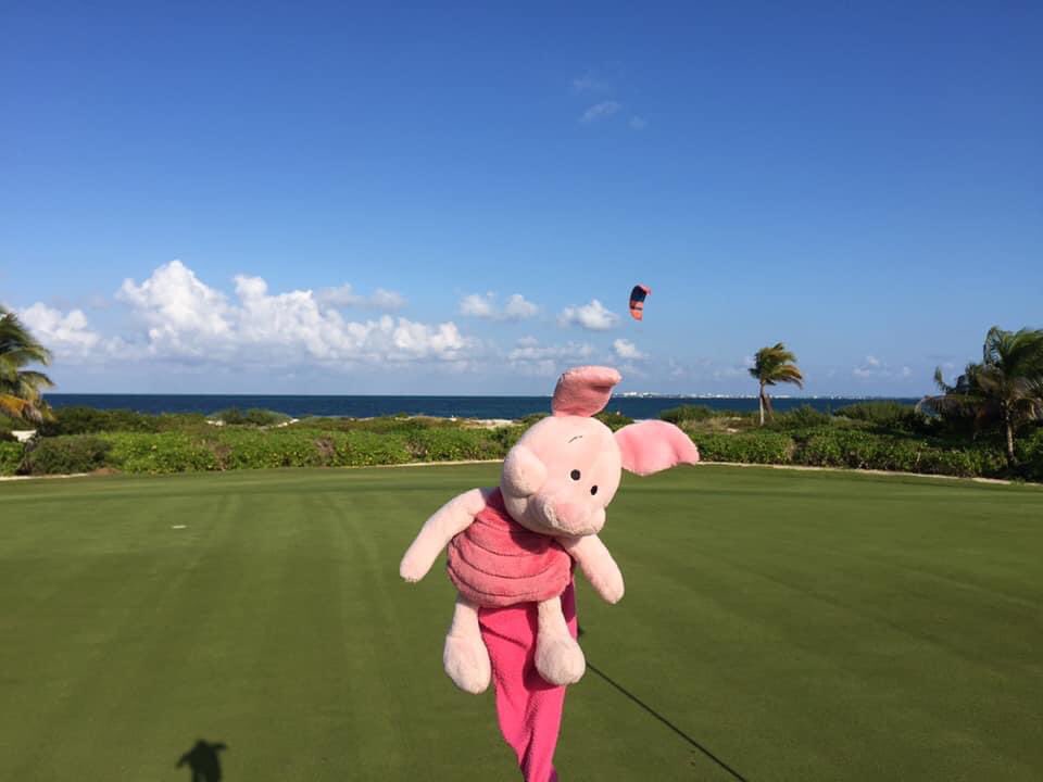JenAaronCherry's tweet photo. @Brittany1golf My hubby had Piglet made for me. https://t.co/Ss46MVfNdI