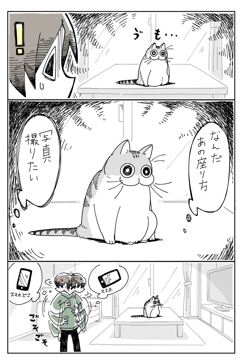 猫の珍しい瞬間などを写真に収めたいのに上手く撮れない という漫画があるあるで一同わかるの声 心のハードディスクへ Togetter