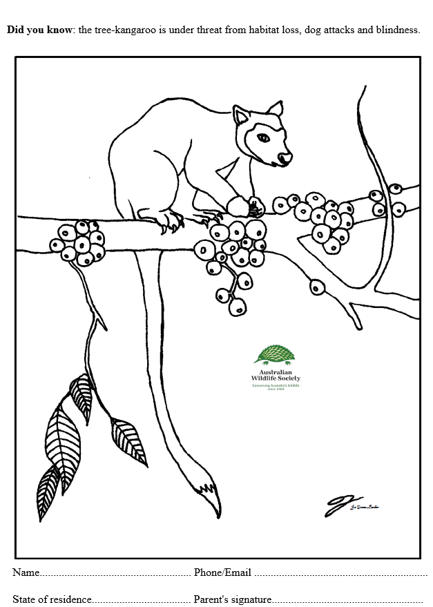 AustralianWild2's tweet photo. If you're looking for something to keep the kids entertained this Easter long weekend, why not participate in our colouring-in competition https://t.co/qgfdh9V2Z3. Good luck https://t.co/kYbywtiCrb