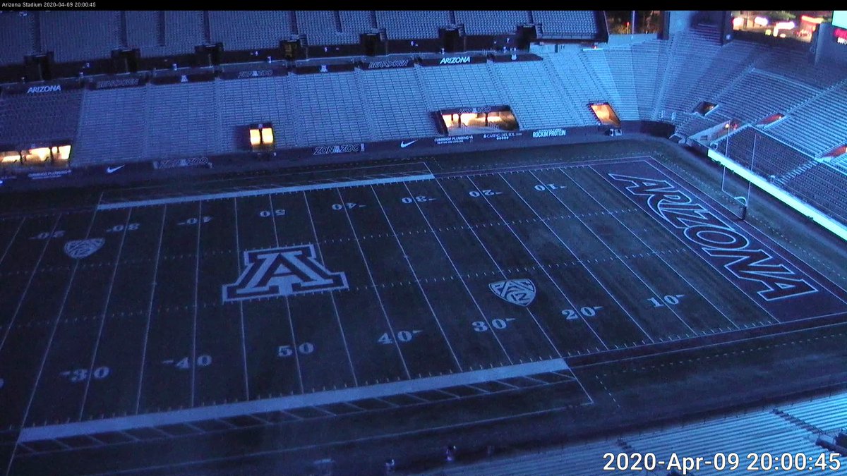 Arizona Athletics tweet media