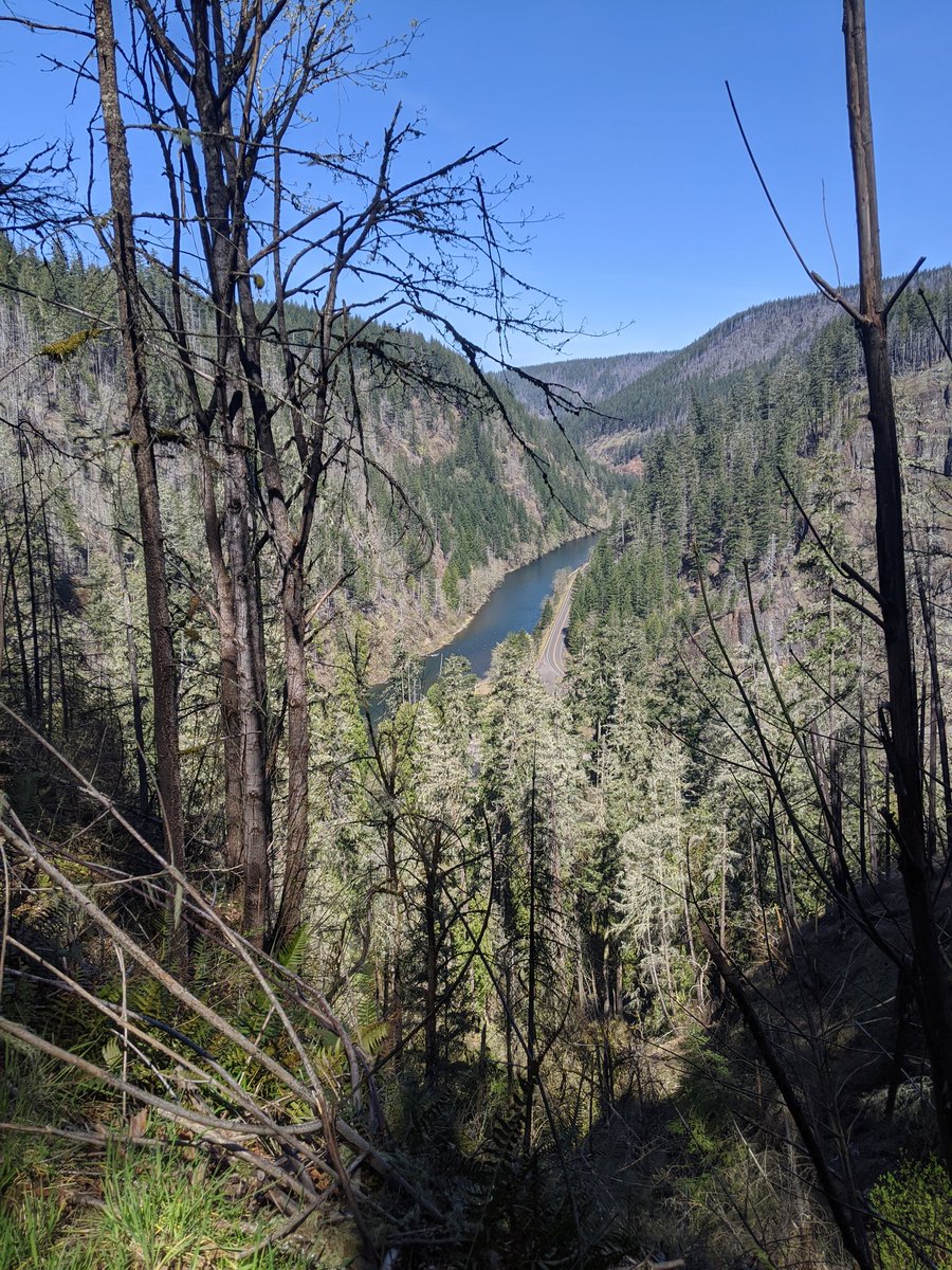 Walked way up this paved road for about 1.5 miles. Gotta say, that was an exhausting start.