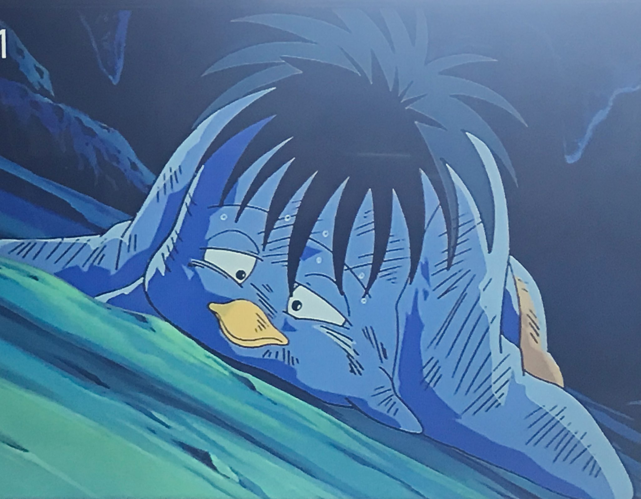 nico on X: nico on X: