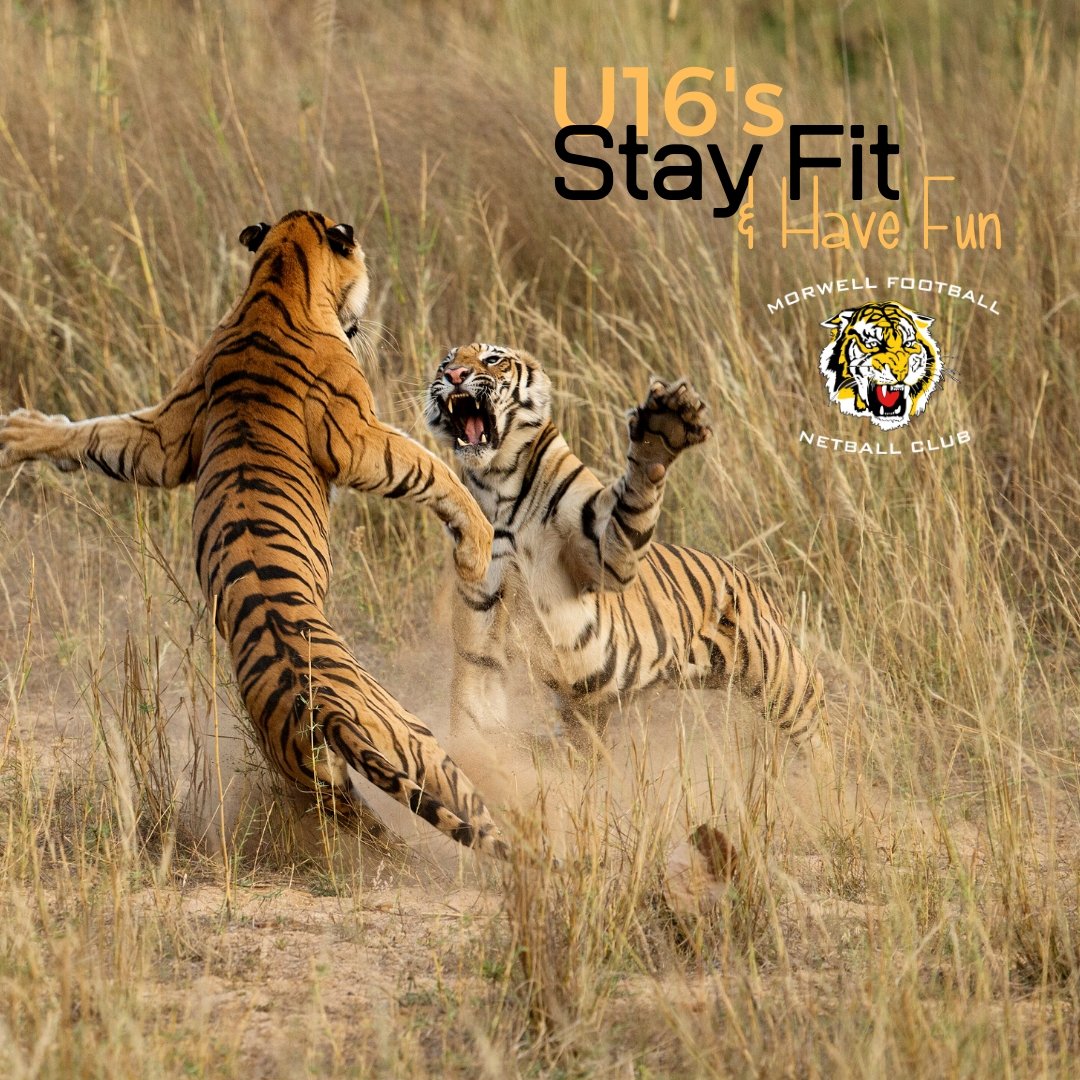 Morwell FNC tweet media