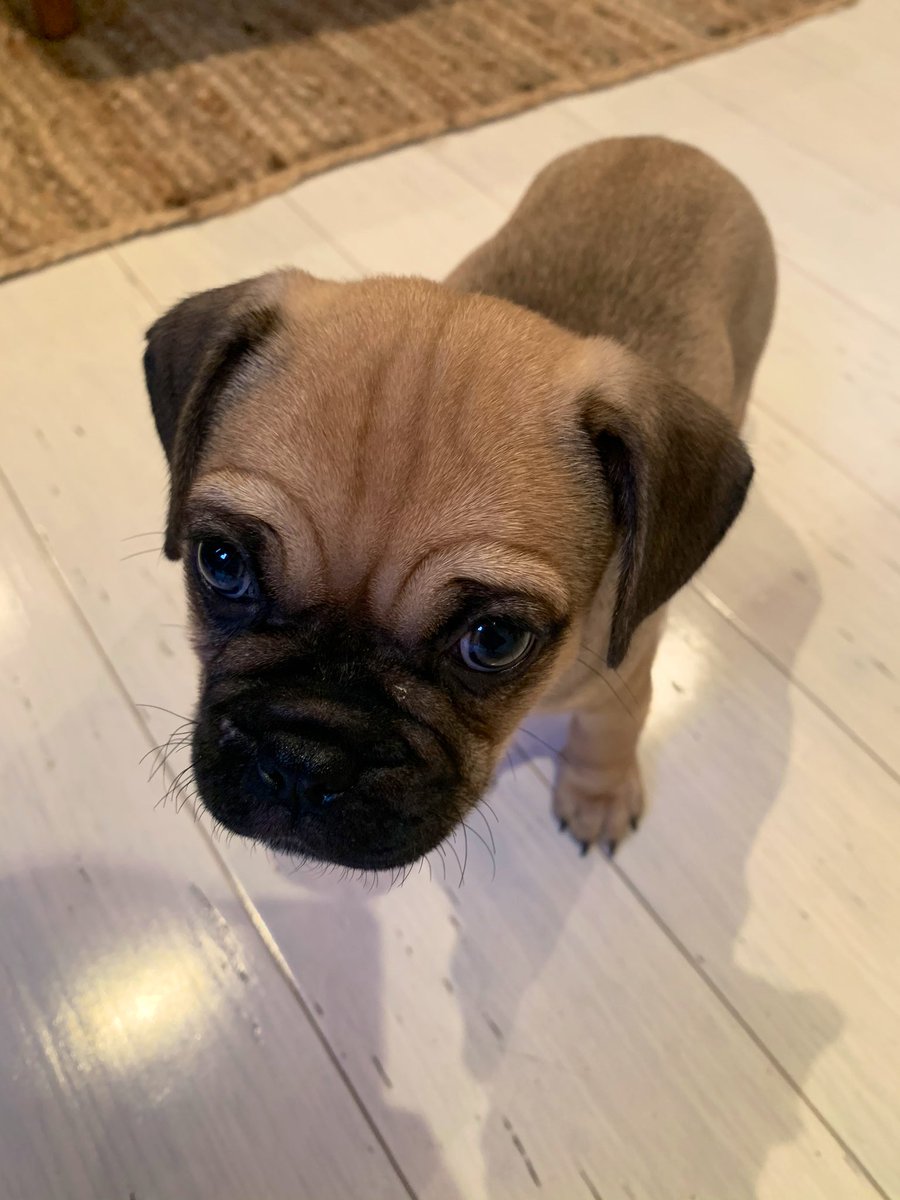 Jon Holloway tweet media