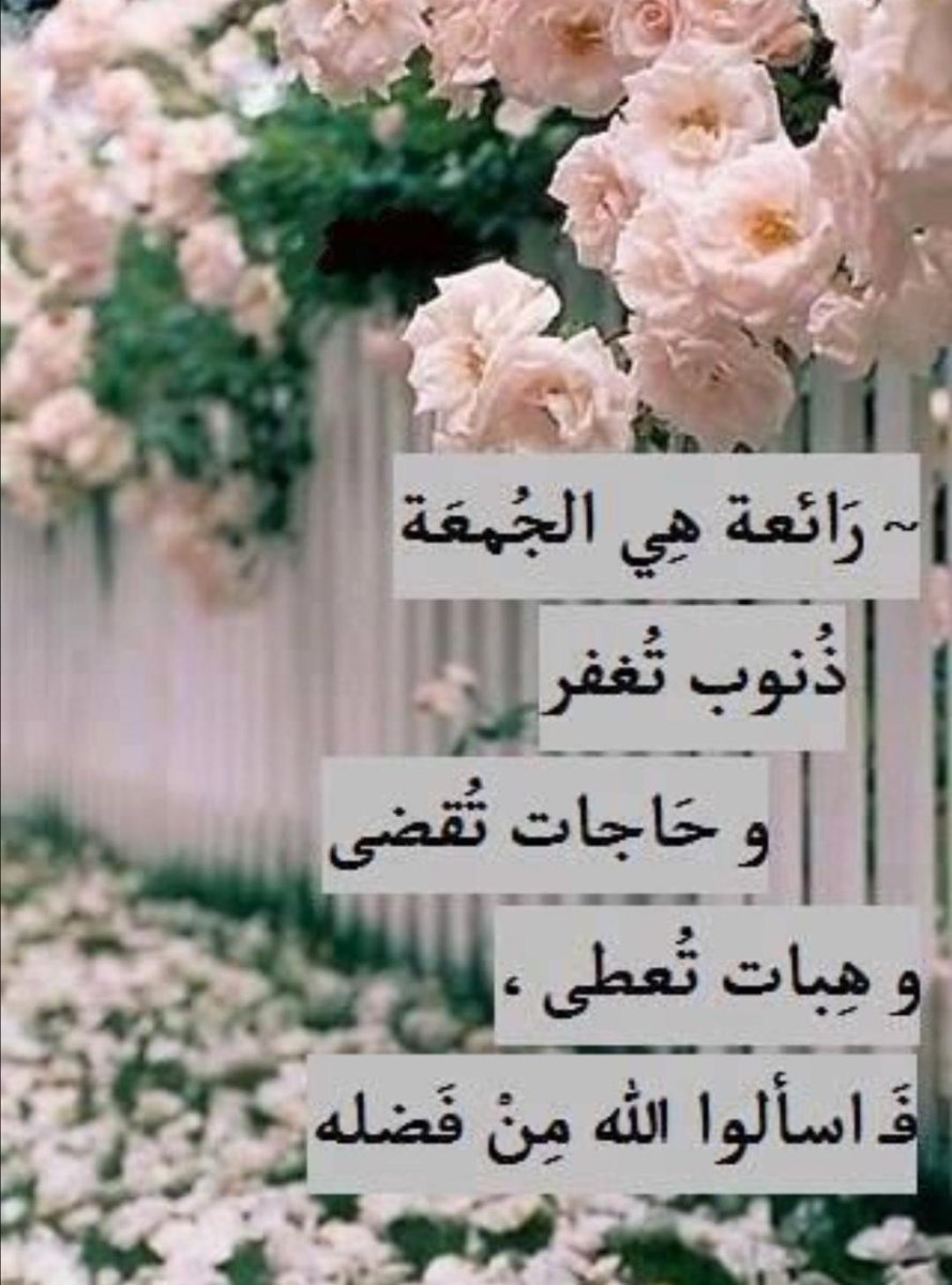 مخلب الصقر (@falconshook) on Twitter photo 