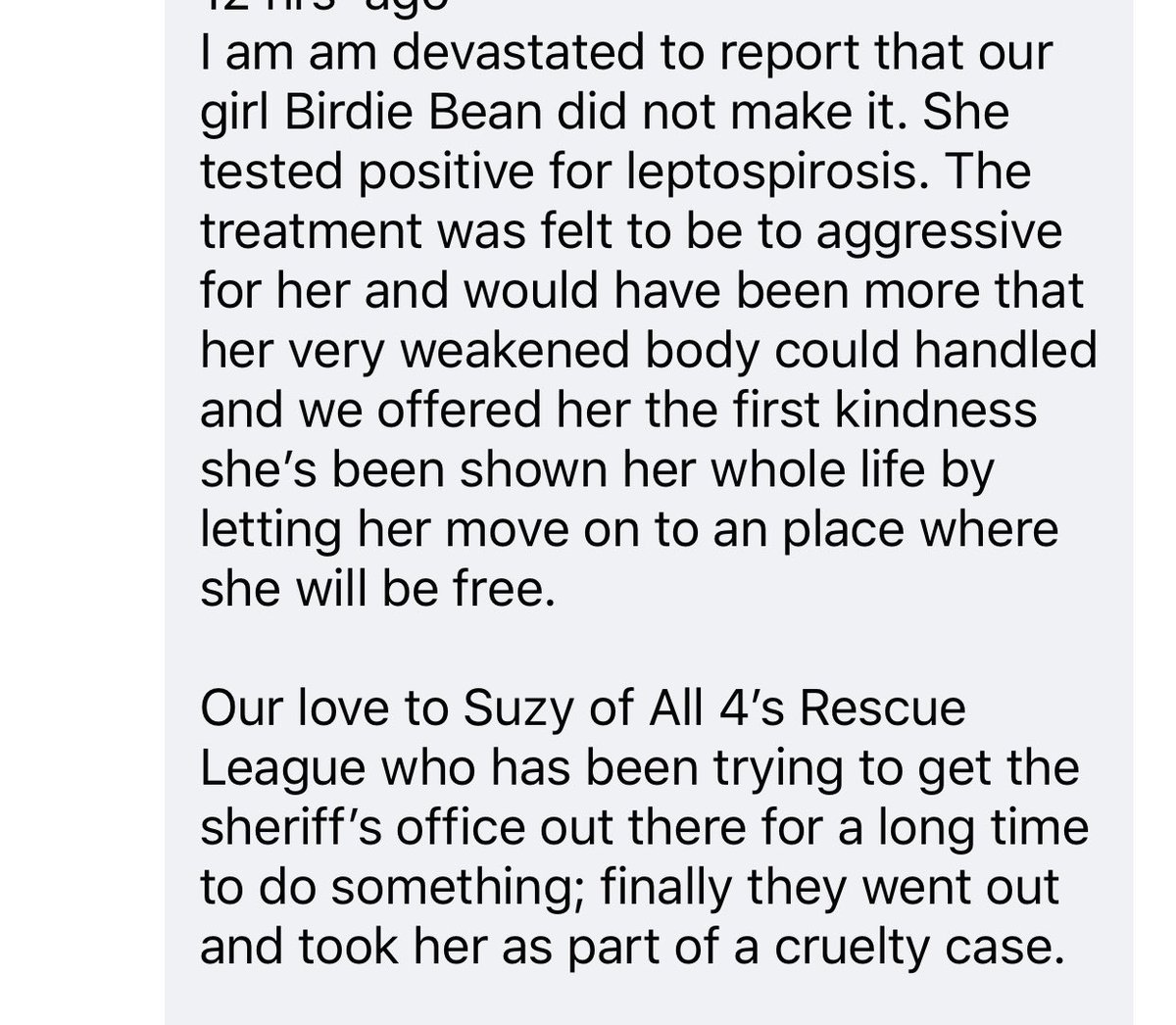 Susie Davis tweet media