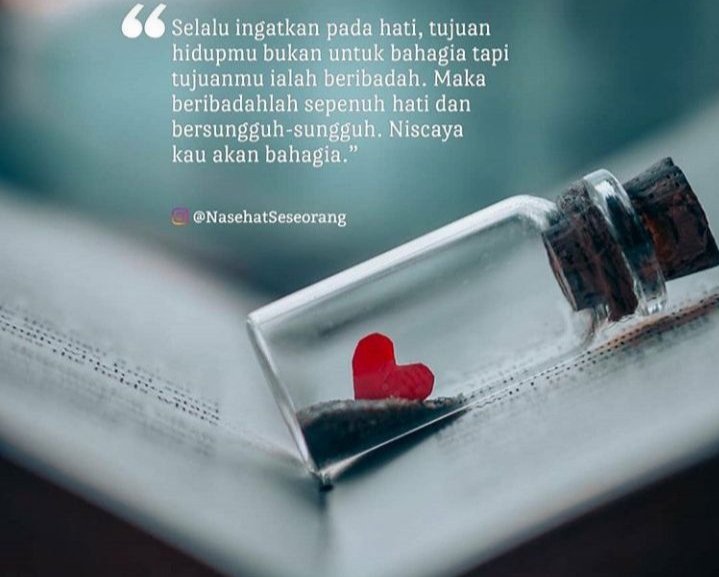 EdiAprilied tweet picture