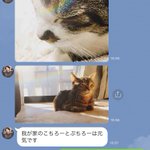 佐藤健さんも驚き!？公式LINEでの彼女から彼氏に移行したやり取りが面白いw