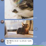 佐藤健さんも驚き!？公式LINEでの彼女から彼氏に移行したやり取りが面白いw